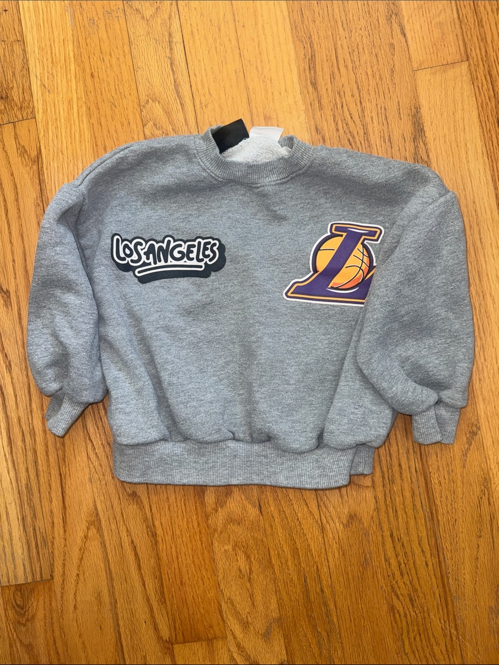 Zara Gray Crewneck Sweatshirt with Purple & Gold Patch - runs small!
